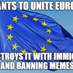The European Union | WANTS TO UNITE EUROPE; YET DESTROYS IT WITH IMMIGRANTS AND BANNING MEMES | image tagged in the european union | made w/ Imgflip meme maker