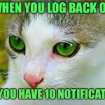 Meow’Dib | WHEN YOU LOG BACK ON; AND YOU HAVE 10 NOTIFICATIONS | image tagged in meowdib 600px,dune,spice | made w/ Imgflip meme maker