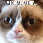 Grumpy Happy Cat | MEDICAL CATNIP... | image tagged in grumpy happy cat,happy cat,grumpy cat,meme,memes | made w/ Imgflip meme maker