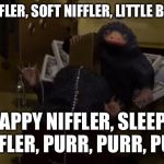 Niffler | WARM NIFFLER, SOFT NIFFLER, LITTLE BALL OF FUR; HAPPY NIFFLER, SLEEPY NIFFLER, PURR, PURR, PURR | image tagged in niffler | made w/ Imgflip meme maker