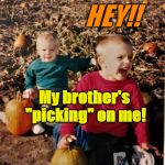 pumpkin patch fail | HEY!! My brother's "picking" on me! | image tagged in pumpkin patch fail | made w/ Imgflip meme maker