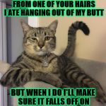 MOST IMPORTANT CAT | I DON'T ALWAYS HAVE ONE OF MY TURDS HANGING FROM ONE OF YOUR HAIRS I ATE HANGING OUT OF MY BUTT; BUT WHEN I DO I'LL MAKE SURE IT FALLS OFF ON THE KITCHEN FLOOR WHERE YOU'LL BE SURE TO STEP ON IT! | image tagged in most important cat | made w/ Imgflip meme maker