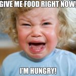 People are dying of starvation. #StopHungerNow | GIVE ME FOOD RIGHT NOW! I'M HUNGRY! | image tagged in temper-tantrum,tantrum,stop hunger,food | made w/ Imgflip meme maker
