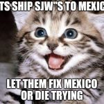 Uber Cute Cat | LETS SHIP SJW"S TO MEXICO; LET THEM FIX MEXICO OR DIE TRYING | image tagged in uber cute cat | made w/ Imgflip meme maker