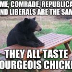 Commie Bear | TO ME, COMRADE, REPUBLICANS AND LIBERALS ARE THE SAME; THEY ALL TASTE BOURGEOIS CHICKEN | image tagged in lonely bear,politics,communism | made w/ Imgflip meme maker