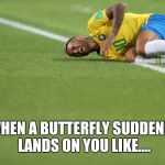 Neymar, Brazil, acting, should get an Oscar for that | WHEN A BUTTERFLY SUDDENLY LANDS ON YOU LIKE.... | image tagged in neymar brazil acting should get an oscar for that | made w/ Imgflip meme maker