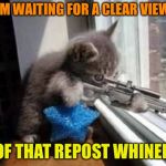 Say this is a repost, I dare you... | I’M WAITING FOR A CLEAR VIEW; OF THAT REPOST WHINER | image tagged in sniper cat 500px wide,memes,repost whiner,imgflip,reposting my own | made w/ Imgflip meme maker
