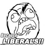 Because liberals! | Because; LIBERALS!! | image tagged in angry troll face | made w/ Imgflip meme maker