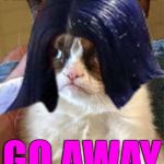 Grumpy Mima | I’M HAVING A BAD DAY; GO AWAY | image tagged in grumpy mima,memes | made w/ Imgflip meme maker