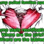 Trump pulled families apart - Trump stalls reunification - Where are the girls? Where are the babies? | Trump pulled families apart. Trump stalls reunification. Where are the girls? Where are the babies? | image tagged in broken hearted,trump,racist,malignant narcissist,cruel,trump unfit unqualified dangerous | made w/ Imgflip meme maker