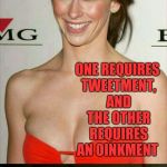 Jennifer Love Hewitt joke template  | WHAT'S THE DIFFERENCE BETWEEN BIRD FLU AND SWINE FLU? ONE REQUIRES TWEETMENT, AND THE OTHER REQUIRES AN OINKMENT | image tagged in jennifer love hewitt joke template,jbmemegeek,jennifer love hewitt,bad puns | made w/ Imgflip meme maker