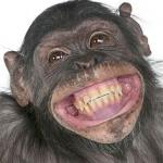 Smile Monkey meme