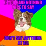 To SmokeWeedEveryday and WhyDoesItStaffBronyMemes | IF YOU HAVE NOTHING NICE TO SAY; DON'T SAY ANYTHING AT ALL | image tagged in advice chili,chili the border collie,imgflip users,imgflip trolls,border collie,dogs | made w/ Imgflip meme maker