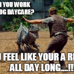 Dog Daycare Referee... | WHEN YOU WORK AT A DOG DAYCARE? YOU FEEL LIKE YOUR A REFEREE ALL DAY LONG....!!! | image tagged in chris pratt raptors | made w/ Imgflip meme maker
