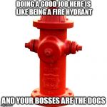 Fire hydrant  | DOING A GOOD JOB HERE IS LIKE BEING A FIRE HYDRANT; AND YOUR BOSSES ARE THE DOGS | image tagged in fire hydrant | made w/ Imgflip meme maker