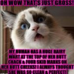 SHOCKED KITTY | OH WOW THAT'S JUST GROSS! MY HUMAN HAS A HUGE HAIRY WART AT THE TOP OF HER BUTT CRACK & FOUR SKID MARKS ON HER BUTT CHEEKS! I ALWAYS THOUGHT SHE WAS SO CLEAN & PERFECT! | image tagged in shocked kitty | made w/ Imgflip meme maker