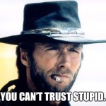 You can’t trust stupid. | YOU CAN’T TRUST STUPID. | image tagged in clint eastwood,memes,stern,western | made w/ Imgflip meme maker