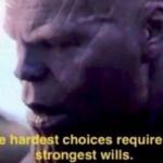 Thanos Making a Choice meme