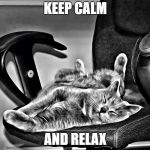 Relax Cat | KEEP CALM; AND RELAX | image tagged in relax cat | made w/ Imgflip meme maker