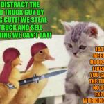 Animals that stick together don't always have feathers! | LATER WE MEET AT THE DOCKS AND DO LIKEWISE SO YOU CAN STEAL THE TUNA BOAT! NO ONE WILL EXPECT US WORKING TOGETHER! YOU DISTRACT THE BREAD TRUCK GUY BY ACTING CUTE! WE STEAL THE TRUCK AND SELL EVERYTHING WE CAN'T EAT! | image tagged in pirate ducks | made w/ Imgflip meme maker