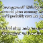 sunshine trees | If trees gave off Wifi signals, we would plant so many trees that we'd probably save the planet. Too bad they only produce the oxygen we breathe. | image tagged in sunshine trees | made w/ Imgflip meme maker
