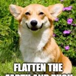 Corgi making Flat Earth jokes | FLATTEN THE EARTH AND PUSH SOMETHING OFF | image tagged in mischievous corgi maybe i'll,flat earth,push | made w/ Imgflip meme maker