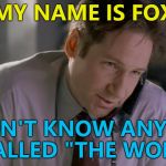 You're sending The Fox? :) | MY NAME IS FOX; I DON'T KNOW ANYONE CALLED "THE WOLF" | image tagged in x files mulder on phone,memes,pulp fiction,the wolf,films,tv | made w/ Imgflip meme maker