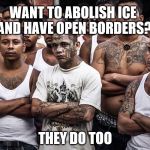 Can someone please help these immigrant children? | WANT TO ABOLISH ICE AND HAVE OPEN BORDERS? THEY DO TOO | image tagged in ms-13 dreamers daca,abolish ice,illegal immigration,build the wall | made w/ Imgflip meme maker