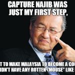 Capture Najib was just the first step! | CAPTURE NAJIB WAS JUST MY FIRST STEP, I WANT TO MAKE MALAYSIA TO BECOME A COUNTRY THAT DIDN'T HAVE ANY ROTTEN "MOUSE" LIKE NAJIB!!! | image tagged in mahathir,najib captured,pakatan harapan | made w/ Imgflip meme maker
