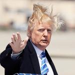 Trump Toupee