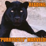 black panther | READING IS... "PURRFECTLY" MARVELOUS! | image tagged in black panther | made w/ Imgflip meme maker