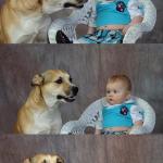 Baby and dog meme