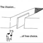 Illusion of free choice meme