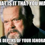 Depths of your ignorance | WHAT IS IT THAT YOU WANT; IN THE DEPTHS
OF YOUR IGNORANCE? | image tagged in orson welles,frozen peas,outtakes,bloopers,anger,irritation | made w/ Imgflip meme maker