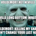 Savage Harry Potter joke | VOLDEMORT:HEY NEVILLE; NEVILLE LONG BOTTOM: WHAT?? VOLDEMORT: KILLING MY SNAKE WON'T CHANGE YOUR LAST NAME | image tagged in savage harry potter joke | made w/ Imgflip meme maker