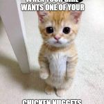 Chicken Nuggets | WHEN YOUR GIRL WANTS ONE OF YOUR; CHICKEN NUGGETS | image tagged in chicken nuggets | made w/ Imgflip meme maker