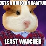 Hamster weekend July 6-8 | POSTS A VIDEO ON HAMTUBE; LEAST WATCHED | image tagged in bad luck hamster,hamster weekend,hamster | made w/ Imgflip meme maker