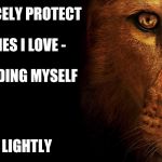 Enough | I FIERCELY PROTECT; THE ONES I LOVE -; INCLUDING MYSELF; TREAD LIGHTLY | image tagged in lioness,protection,family | made w/ Imgflip meme maker