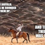 ya' herd? | 97 BUFFALO, UNTIL HE ROUNDED THEM UP... AND THEN THERE WAS 100. | image tagged in ya' herd | made w/ Imgflip meme maker