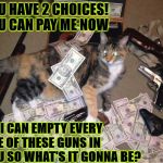 ORGANIZED CRIME CAT | YOU HAVE 2 CHOICES! YOU CAN PAY ME NOW; OR I CAN EMPTY EVERY ONE OF THESE GUNS IN YOU SO WHAT'S IT GONNA BE? | image tagged in organized crime cat | made w/ Imgflip meme maker