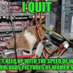 So it's true that hamsters power our computers - Hamster Weekend July 6-8, a bachmemeguy2, 1forpeace & Shen_Hiroku_Nagato event | I QUIT; I CAN'T KEEP UP WITH THE SPEED OF WHICH HE DOWNLOADS PICTURES OF WOMEN'S BUTTS | image tagged in computer hamster,memes,hamster weekend,quitting | made w/ Imgflip meme maker