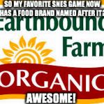 EarthBound Farm | SO MY FAVORITE SNES GAME NOW HAS A FOOD BRAND NAMED AFTER IT? AWESOME! | image tagged in earthbound farm | made w/ Imgflip meme maker