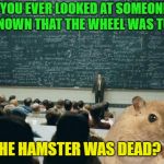 Hamster Weekend | HAVE YOU EVER LOOKED AT SOMEONE AND JUST KNOWN THAT THE WHEEL WAS TURNING; BUT THE HAMSTER WAS DEAD? | image tagged in professor in front of class,hamster weekend | made w/ Imgflip meme maker
