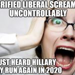 Horrified Liberal | HORRIFIED LIBERAL SCREAMING UNCONTROLLABLY; JUST HEARD HILLARY MAY RUN AGAIN IN 2020 | image tagged in horrified liberal | made w/ Imgflip meme maker