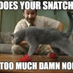 Kitten Mittens | DOES YOUR SNATCH; MAKE TOO MUCH DAMN NOISE?!? | image tagged in kitten mittens | made w/ Imgflip meme maker