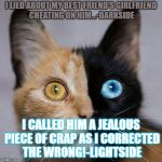 Double Cat | I LIED ABOUT MY BEST FRIEND'S GIRLFRIEND CHEATING ON HIM...-DARKSIDE; I CALLED HIM A JEALOUS PIECE OF CRAP AS I CORRECTED THE WRONG!-LIGHTSIDE | image tagged in double cat | made w/ Imgflip meme maker