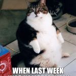 When are the Going to Get a Few More? | THAT FACE YOU MAKE; WHEN LAST WEEK WAS HAMSTER WEEK | image tagged in fat cat,memes,funny,hamster weekend | made w/ Imgflip meme maker
