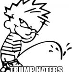 Calvin pissing on | TRUMP HATERS | image tagged in calvin pissing on | made w/ Imgflip meme maker