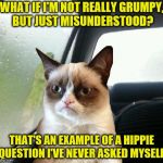 She doesn't know and doesn't care | WHAT IF I'M NOT REALLY GRUMPY, BUT JUST MISUNDERSTOOD? THAT'S AN EXAMPLE OF A HIPPIE QUESTION I'VE NEVER ASKED MYSELF | image tagged in introspective grumpy cat,memes,misunderstood | made w/ Imgflip meme maker