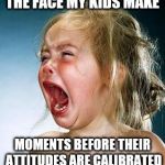 Calibrate Your Kids | THE FACE MY KIDS MAKE; MOMENTS BEFORE THEIR ATTITUDES ARE CALIBRATED | image tagged in internet tantrum,memes,discipline | made w/ Imgflip meme maker